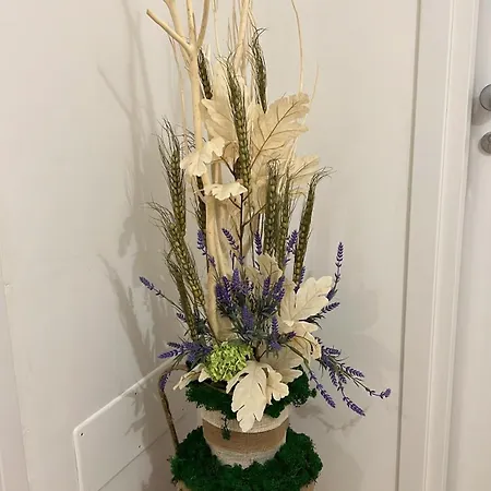 Couette-café Dalmazia 3*